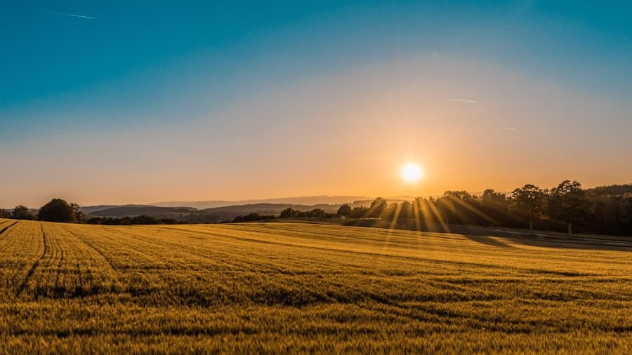 Open farmland at sunset